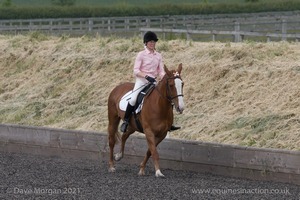 ISIS Dressage Challenge 2008